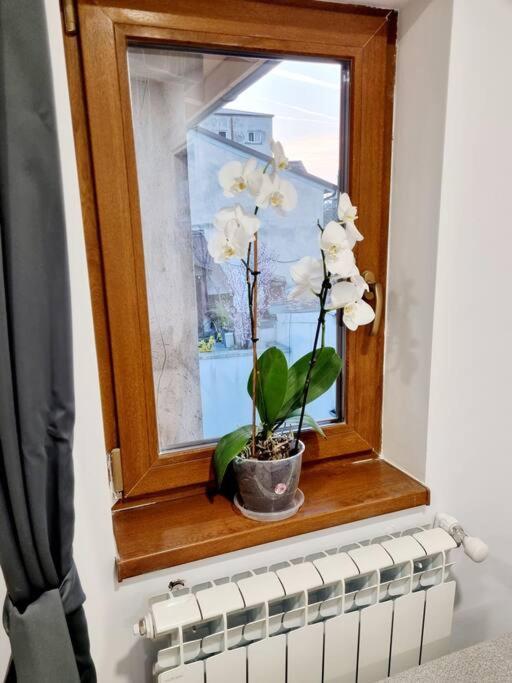 Cozy Apartment Near City Center Бухарест Екстер'єр фото